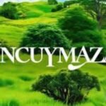 Uncuymaza