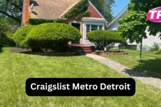 Craigslist Metro Detroit