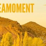 liveamoment.org