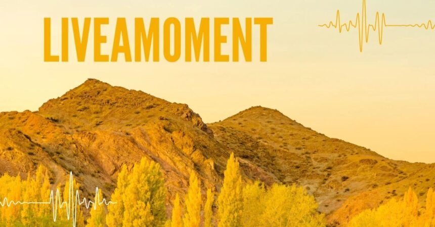 liveamoment.org